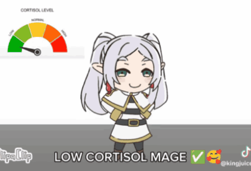 Frieren anime